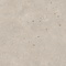 Керамогранит Buono Ceramica Terrazzo Light Mocha Matt THS4802M 60x120