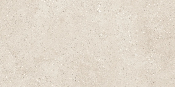 Керамогранит Buono Ceramica Terrazzo Light Ivory Matt THS4804M 60x120