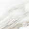 Керамогранит Delacora Calacatta Andrea D30019M матовый карвинг 300x600