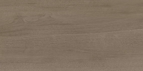 Керамогранит Delacora Walnut Dark D30014M матовый  300x600