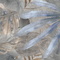 Керамогранит Delacora Bahamas Floristry Dark D120240G матовый граниль 1200x600