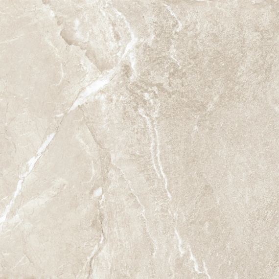 Керамогранит Wild Gold D60262M матовый 600x600
