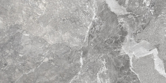 Керамогранит Delacora Wild Dark D120260M матовый 1200x600