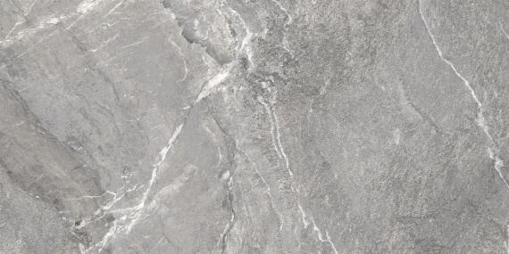 Керамогранит Delacora Wild Dark D120260M матовый 1200x600