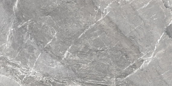 Керамогранит Delacora Wild Dark D120260M матовый 1200x600