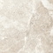 Керамогранит Delacora Wild Gold D120262M матовый 1200x600