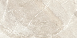 Керамогранит Delacora Wild Gold D120262M матовый 1200x600