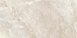 Керамогранит Delacora Wild Gold D120262M матовый 1200x600