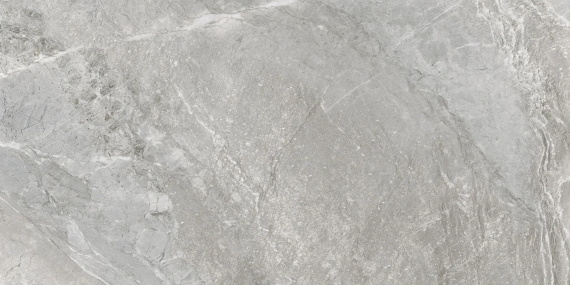 Керамогранит Delacora Wild Light D120259M матовый 1200x600