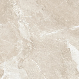 Керамогранит Wild Gold D60262M матовый 600x600
