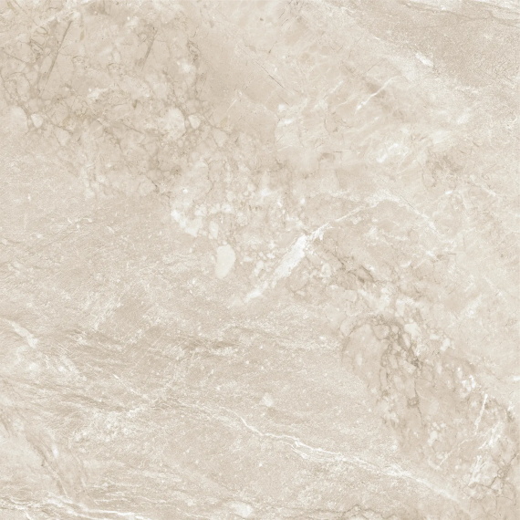 Керамогранит Wild Gold D60262M матовый 600x600