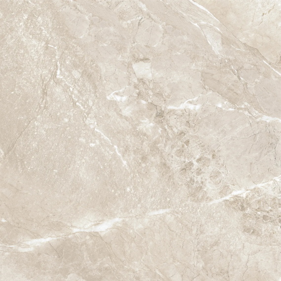 Керамогранит Wild Gold D60262M матовый 600x600