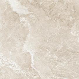 Керамогранит Wild Gold D60262M матовый 600x600