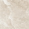 Керамогранит Wild Gold D60262M матовый 600x600