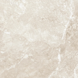 Керамогранит Wild Gold D60262M матовый 600x600