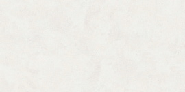 Керамогранит Buono Ceramica Emma Fiore Base Matt EVL4802M 60x120