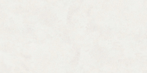 Керамогранит Buono Ceramica Emma Fiore Base Matt EVL4802M 60x120