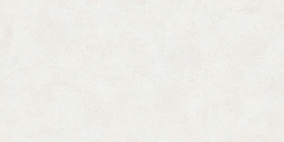 Керамогранит Buono Ceramica Emma Fiore Base Matt EVL4802M 60x120