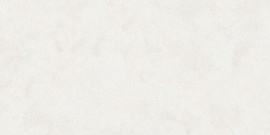 Керамогранит Buono Ceramica Emma Fiore Base Matt EVL4802M 60x120