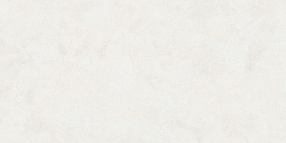 Керамогранит Buono Ceramica Emma Fiore Base Matt EVL4802M 60x120