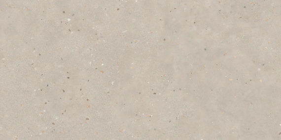 Керамогранит Buono Ceramica Terrazzo Light Mocha Matt THS4802M 60x120