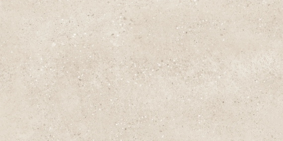 Керамогранит Buono Ceramica Terrazzo Light Ivory Matt THS4804M 60x120