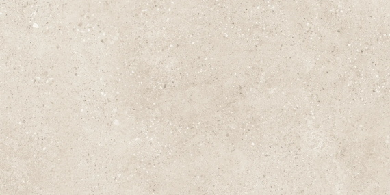 Керамогранит Buono Ceramica Terrazzo Light Ivory Matt THS4804M 60x120