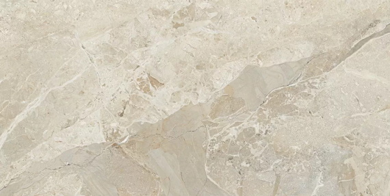 Керамогранит Buono Ceramica Irwin Stones Мat S4436M 60x120