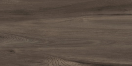 Goa Marron GP36GOA21 Керамогранит матовый 300*600