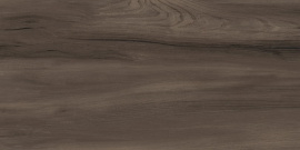 Goa Marron GP36GOA21 Керамогранит матовый 300*600
