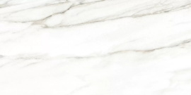 Euphoria Alma Ceramica TWU2550EPH04 плитка облицовочная 249*500