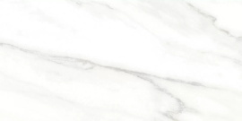Euphoria Alma Ceramica TWU2550EPH04 плитка облицовочная 249*500
