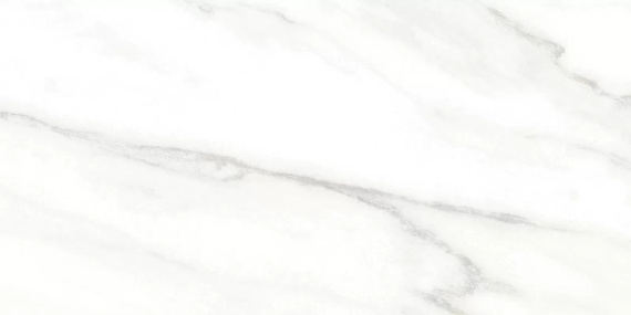 Euphoria Alma Ceramica TWU2550EPH04 плитка облицовочная 249*500