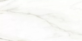 Euphoria Alma Ceramica TWU2550EPH04 плитка облицовочная 249*500