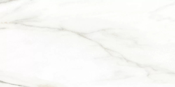 Euphoria Alma Ceramica TWU2550EPH04 плитка облицовочная 249*500