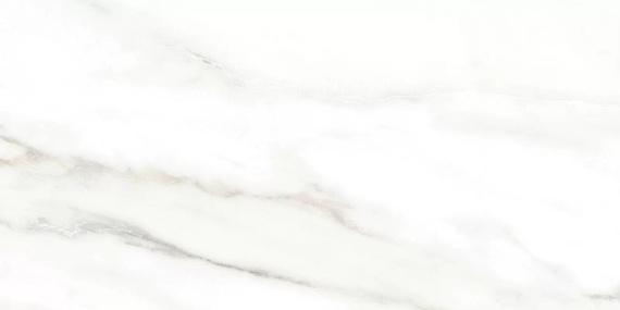Euphoria Alma Ceramica TWU2550EPH04 плитка облицовочная 249*500