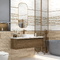 Euphoria Alma Ceramica TWU2550EPH04 плитка облицовочная 249*500