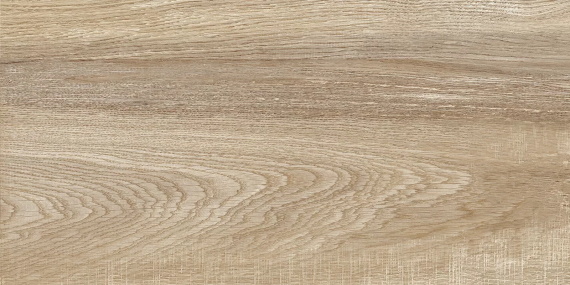 Euphoria Alma Ceramica TWU2550EPH40 плитка облицовочная рельефная 249*500