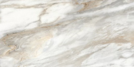 Euphoria Alma Ceramica TWU2550EPH74 плитка облицовочная 249*500