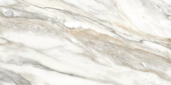 Euphoria Alma Ceramica TWU2550EPH74 плитка облицовочная 249*500