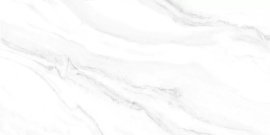 Fresco Alma Ceramica TWU2550FRC07 плитка облицовочная 249*500