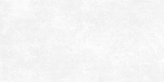 Beton Pro Alma Ceramica GFU60120BTP00R керамогранит матовый 600*1200