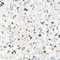 Terrazzo Alma Ceramica GFU6060TRZ07L керамогранит лаппатированный 600*600