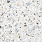 Terrazzo Alma Ceramica GFU6060TRZ07L керамогранит лаппатированный 600*600