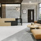 Amsterdam Alma Ceramica GFU6060ADM07R керамогранит матовый 600*600