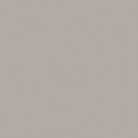 Spector Alma Ceramica GFU6060SPR70R керамогранит матовый 600*600