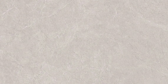 Aristo Grey Tm 60x120