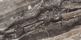 Керамогранит Neodom Amadeus Lap Carving Sugar 60x120 N20565