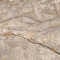 Керамогранит Dogma Project Antibacterial Crema Cappuccino Natural 60x120 натуральный