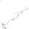 Керамогранит Dogma Project Antibacterial Calacatta Macchia Vecchia Levigato 60x120 полированный